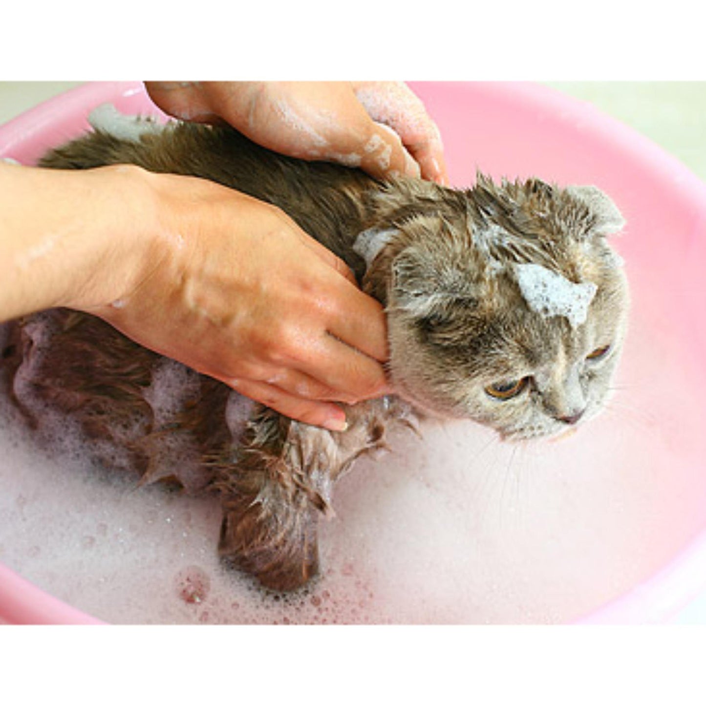 Pet Cat Shampoo Hap Cat 120 ml for Cats Shampoo SC120
